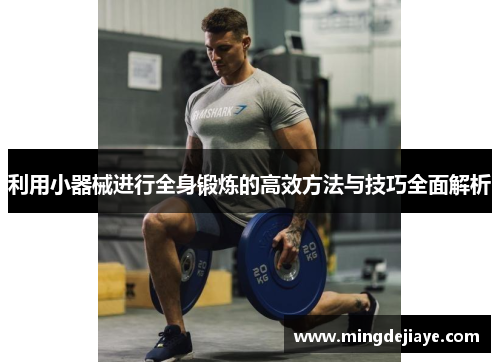 利用小器械进行全身锻炼的高效方法与技巧全面解析