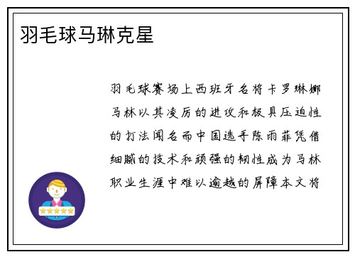 羽毛球马琳克星
